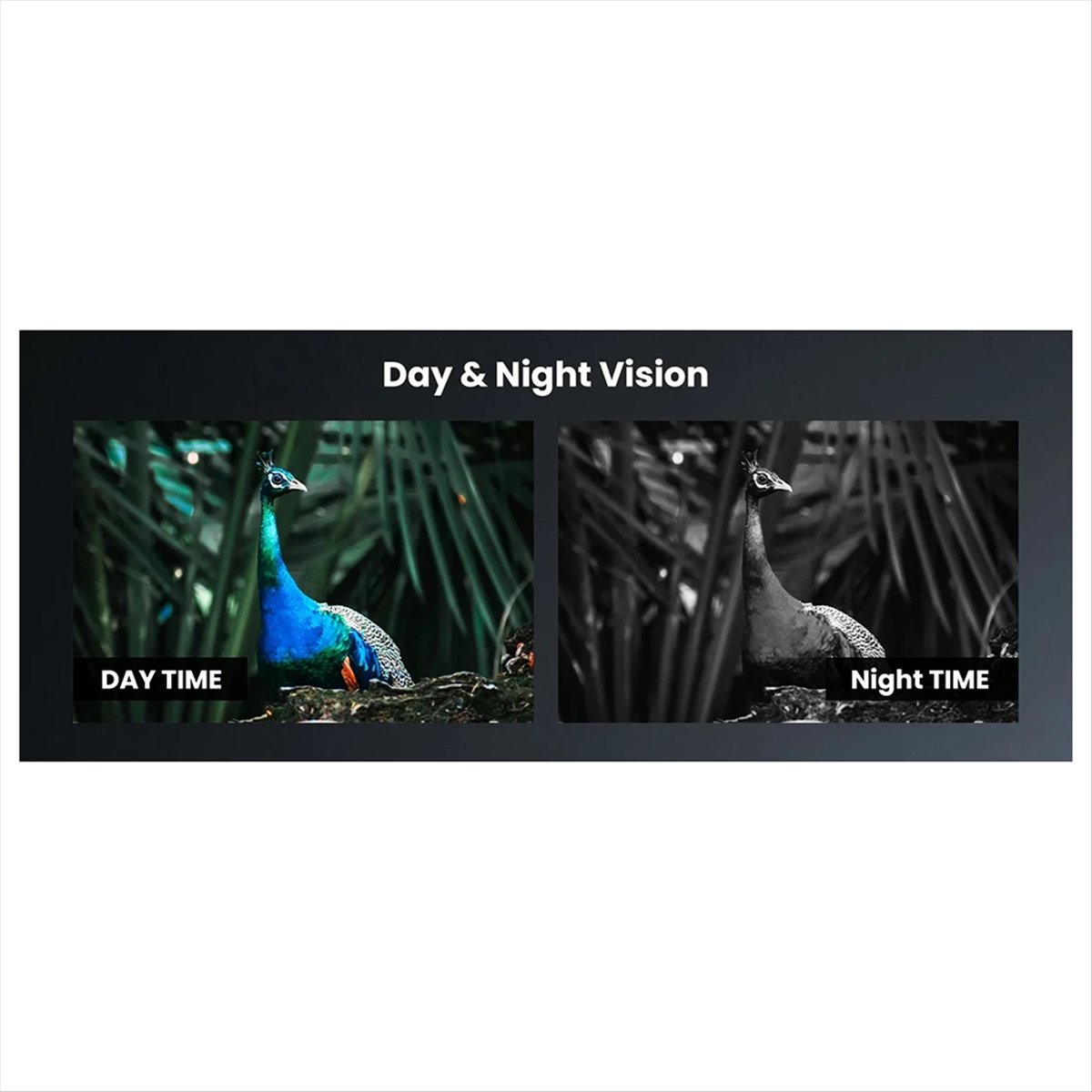 Y60A NOUVEAU - Lunette de visi - Night Vision Scope For Crossbow avis et prix