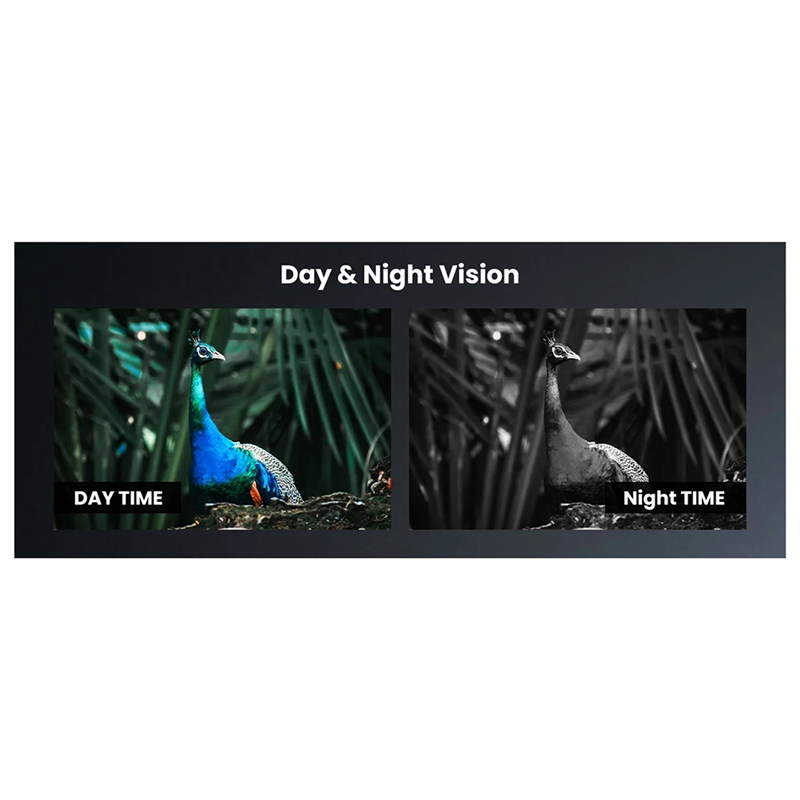 Portée de Vision nocturne A75T - Night Vision Scope For Crossbow avis et prix
